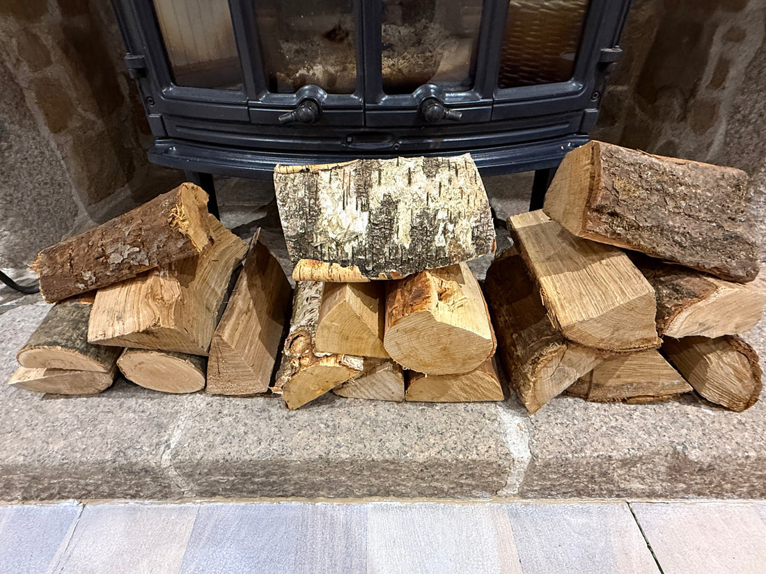 Ash, Birch & Oak Logs — Which Firewood is Best for Your Log Burner?