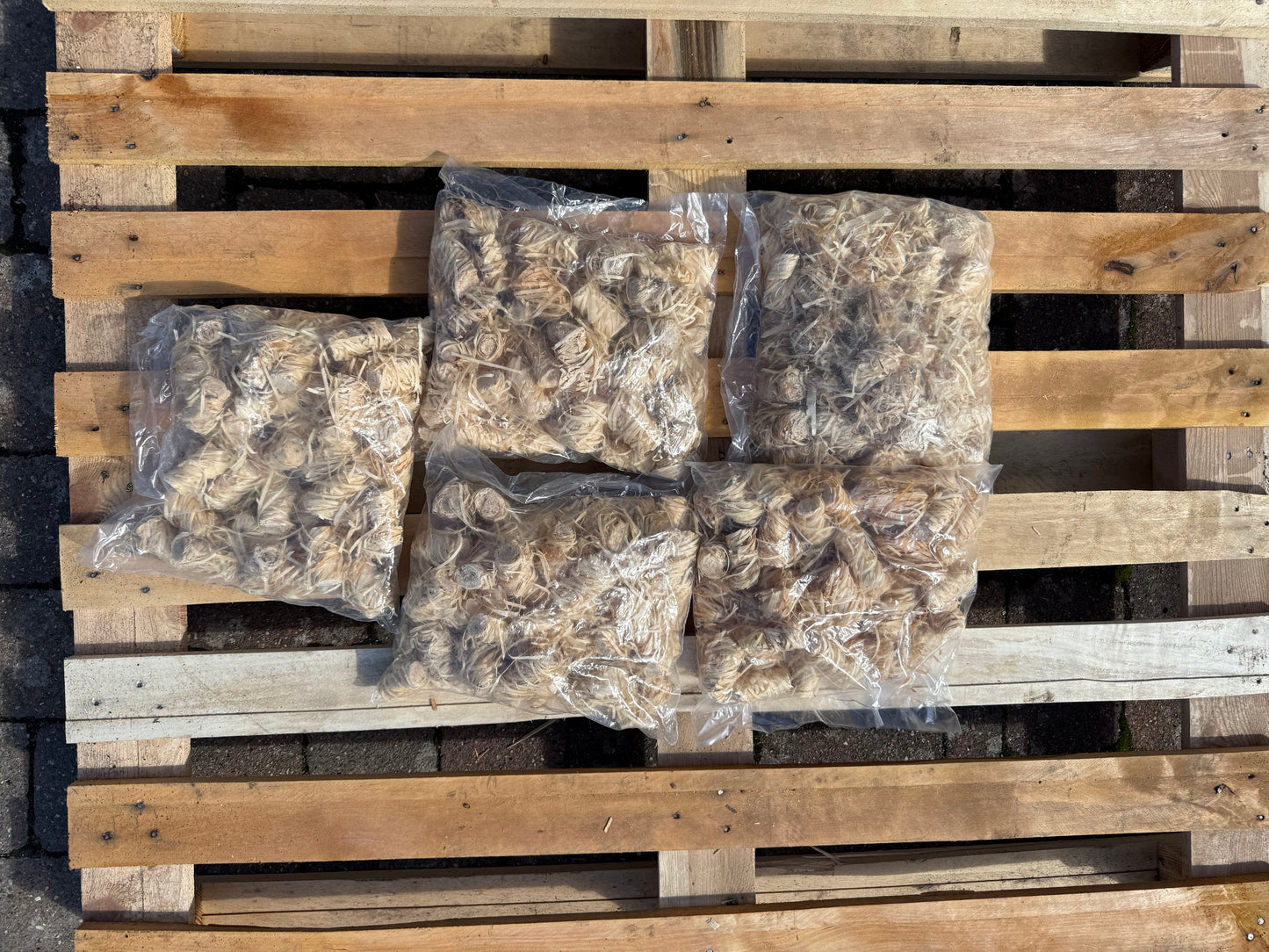 Natural Wood Wool Large Firelighters x250